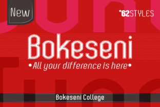 Bokeseni College: A Clean Sans Serif Font for Modern Branding
